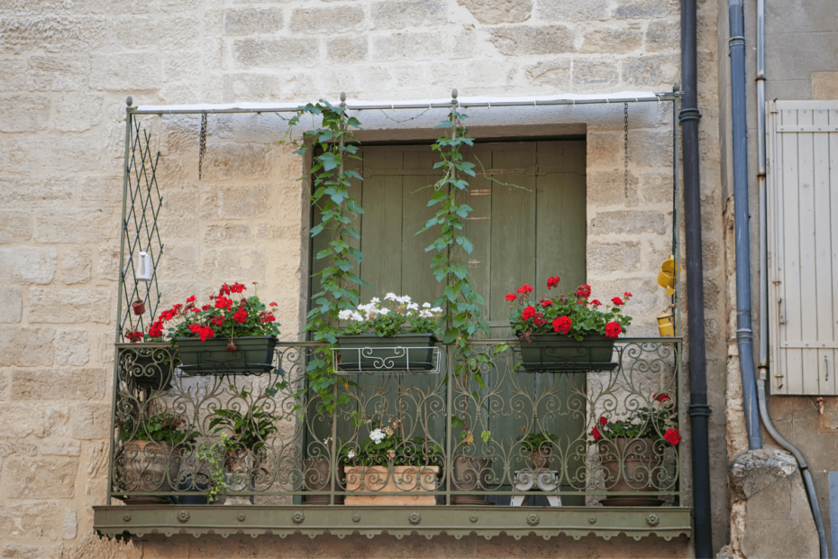 vertical-greenery-elevating-your-balcony-with-creative-plant-displays